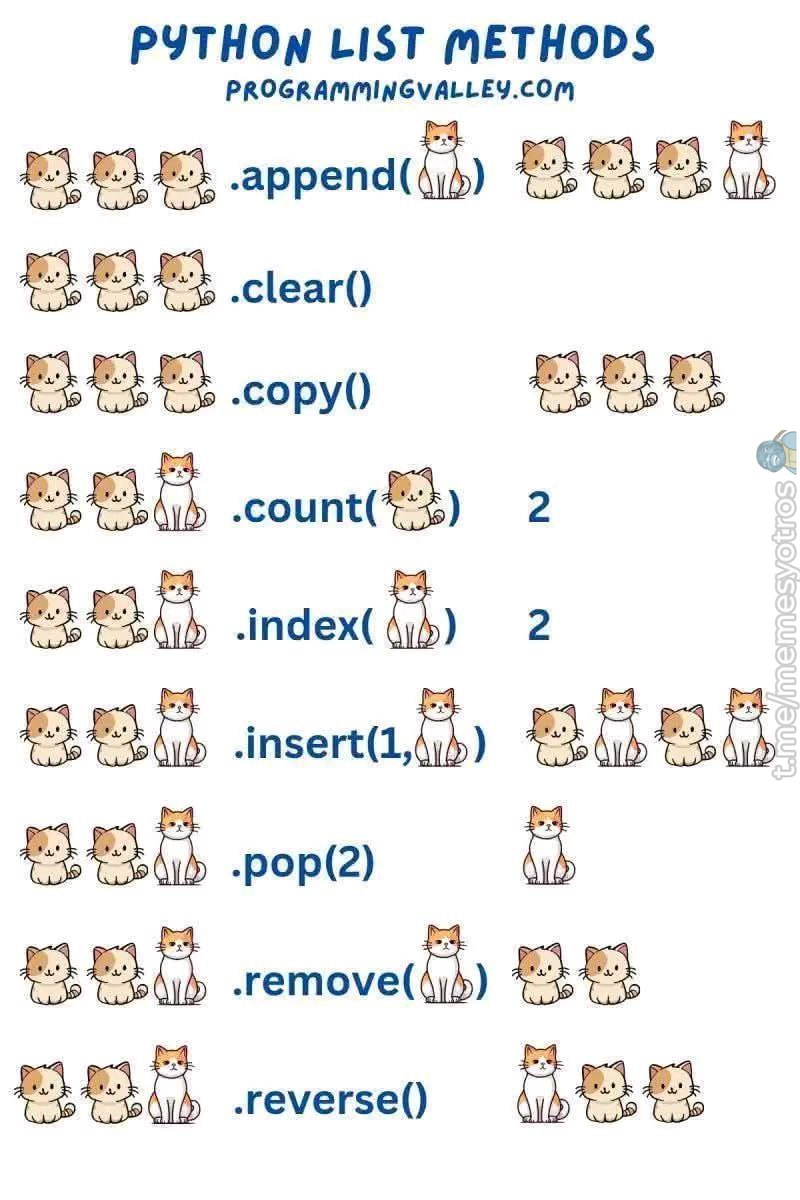 [forward]Imagen sin descripcion